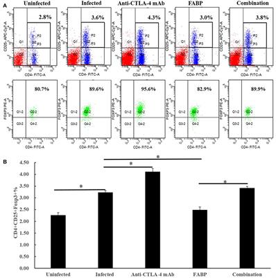 Frontiers | Effect of Cytotoxic T-Lymphocyte Antigen-4 on the Efficacy ...